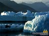 free wallpapers from Lu-Lu Belle Glacier Wildlife Cruise
